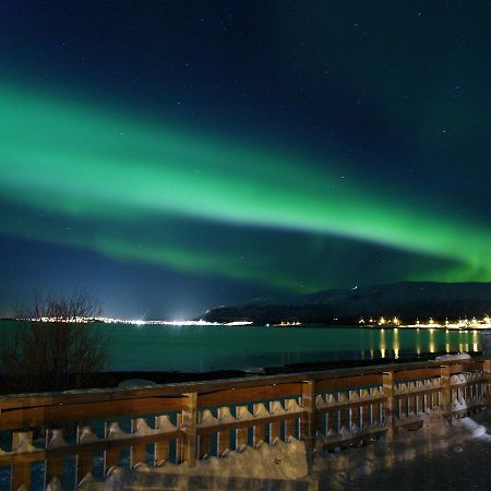 Vikran Vacation: Sea Fishing And Northern Lights Extérieur photo