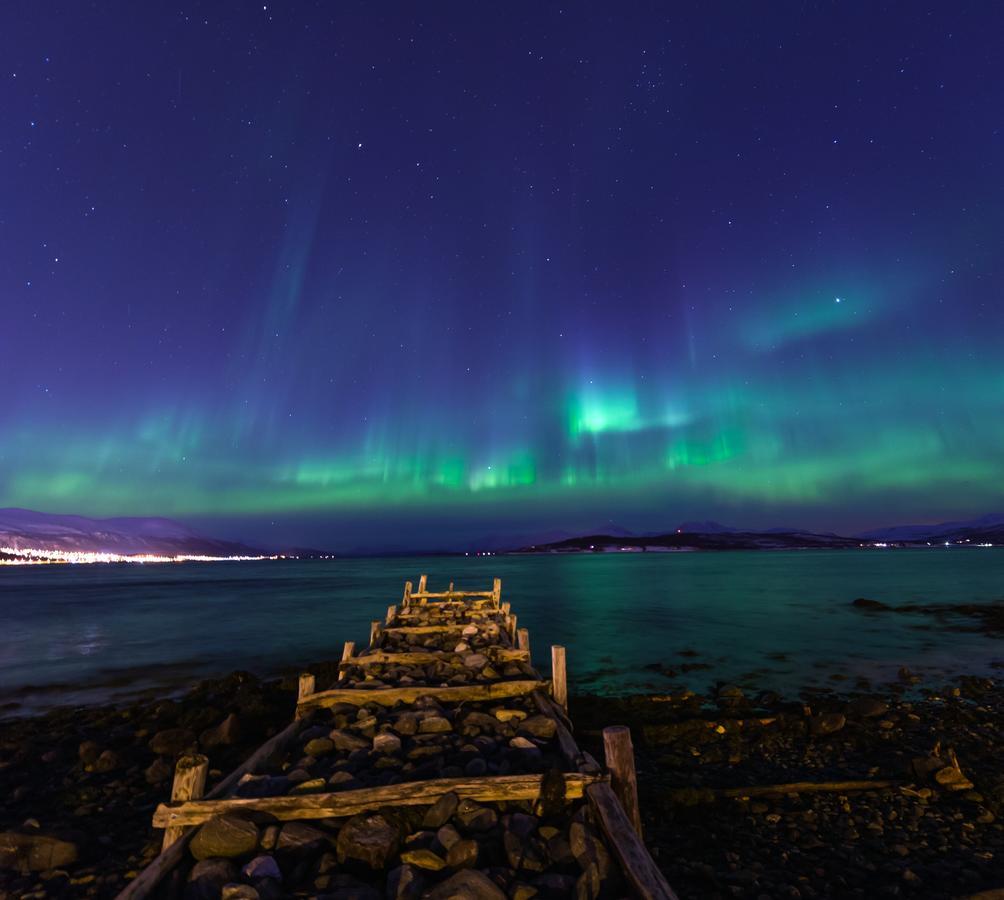 Vikran Vacation: Sea Fishing And Northern Lights Extérieur photo