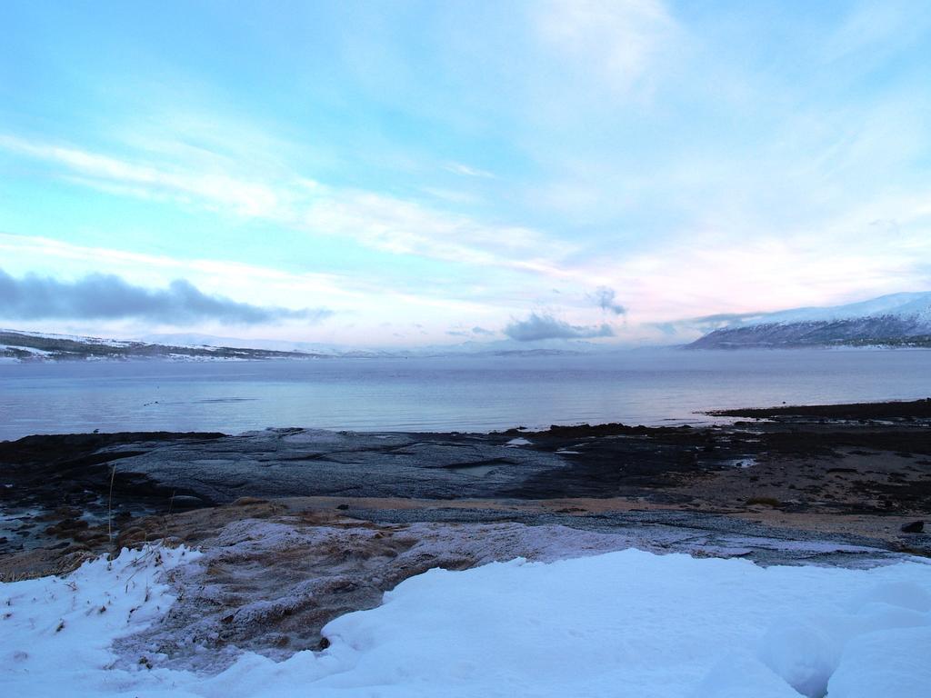 Vikran Vacation: Sea Fishing And Northern Lights Extérieur photo