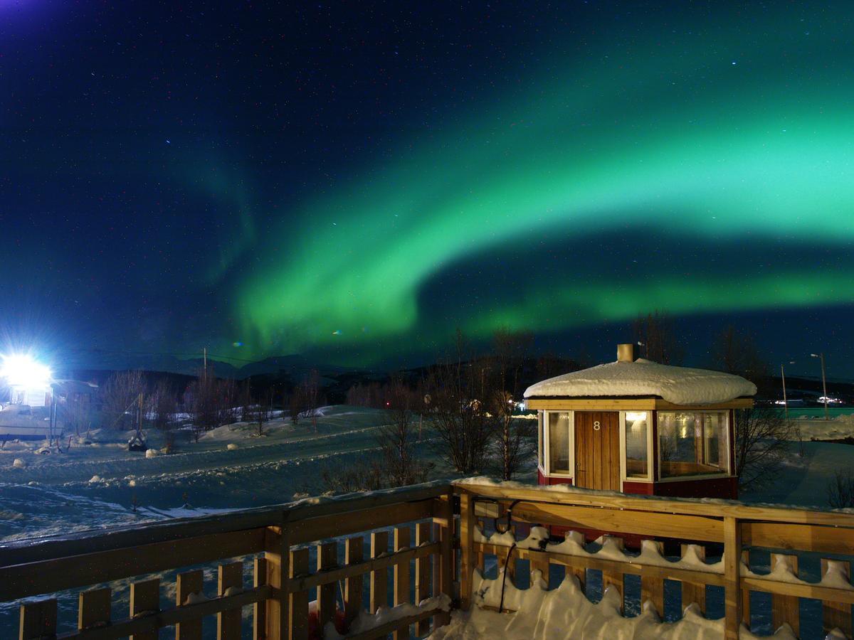 Vikran Vacation: Sea Fishing And Northern Lights Extérieur photo