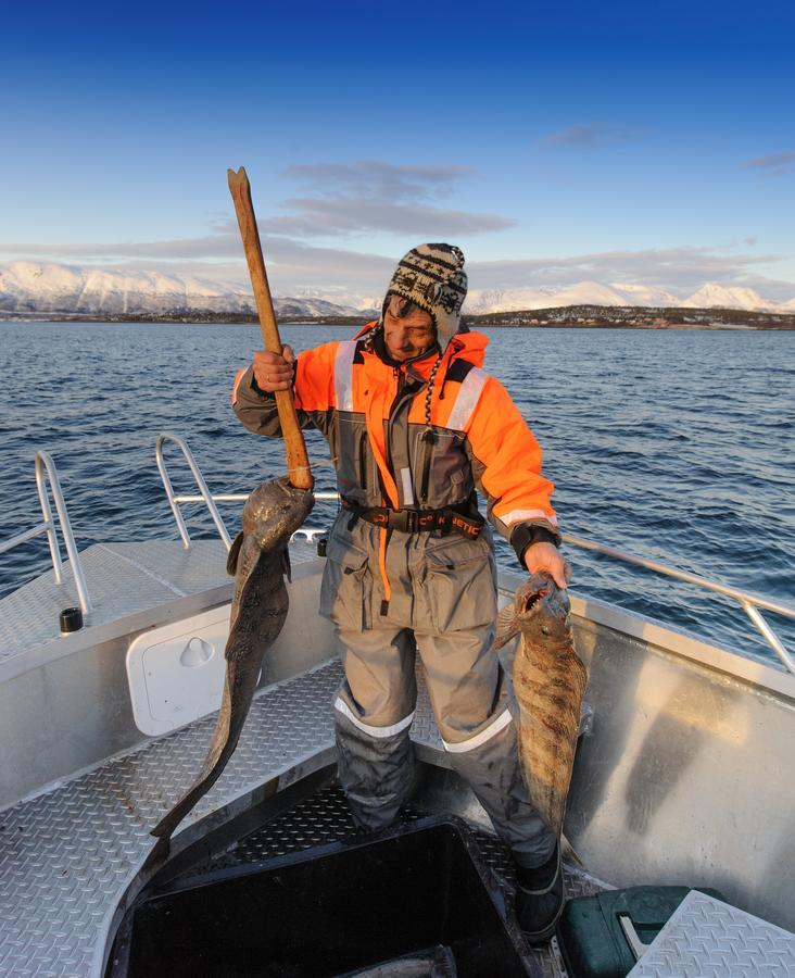 Vikran Vacation: Sea Fishing And Northern Lights Extérieur photo