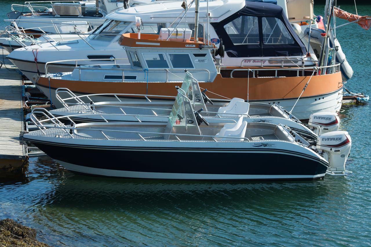 Vikran Vacation: Sea Fishing And Northern Lights Extérieur photo