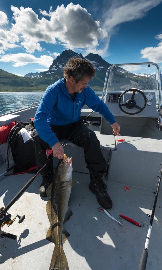 Vikran Vacation: Sea Fishing And Northern Lights Extérieur photo