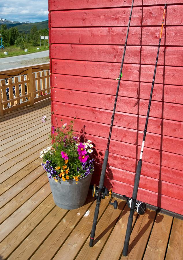 Vikran Vacation: Sea Fishing And Northern Lights Extérieur photo
