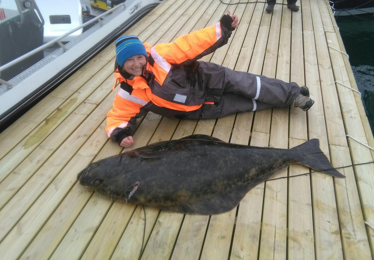 Vikran Vacation: Sea Fishing And Northern Lights Extérieur photo