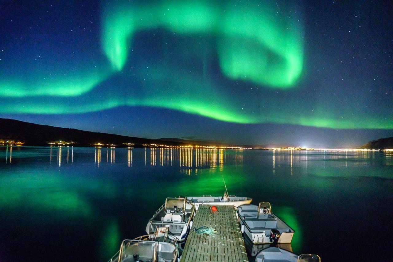 Vikran Vacation: Sea Fishing And Northern Lights Extérieur photo