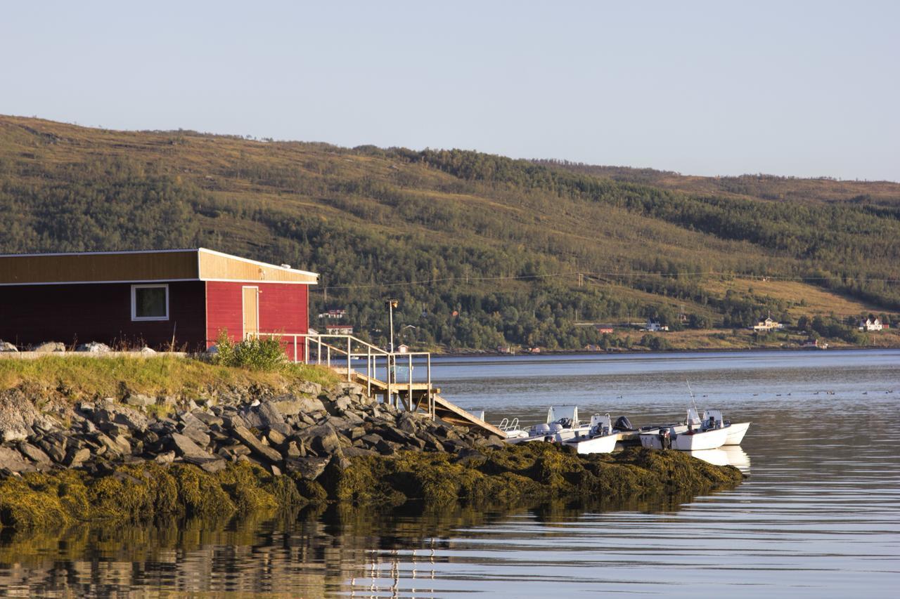 Vikran Vacation: Sea Fishing And Northern Lights Extérieur photo