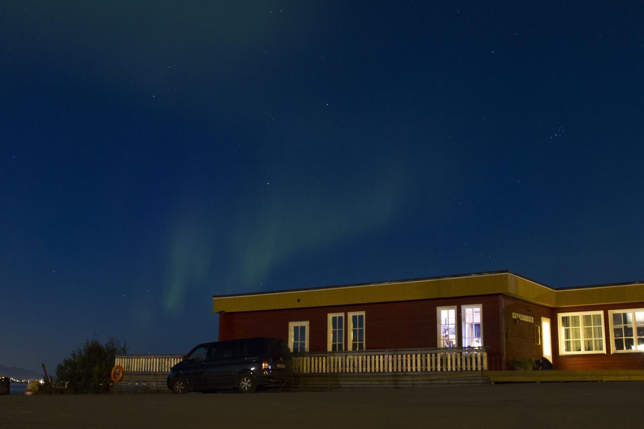 Vikran Vacation: Sea Fishing And Northern Lights Extérieur photo