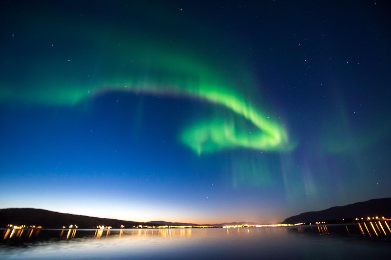 Vikran Vacation: Sea Fishing And Northern Lights Extérieur photo