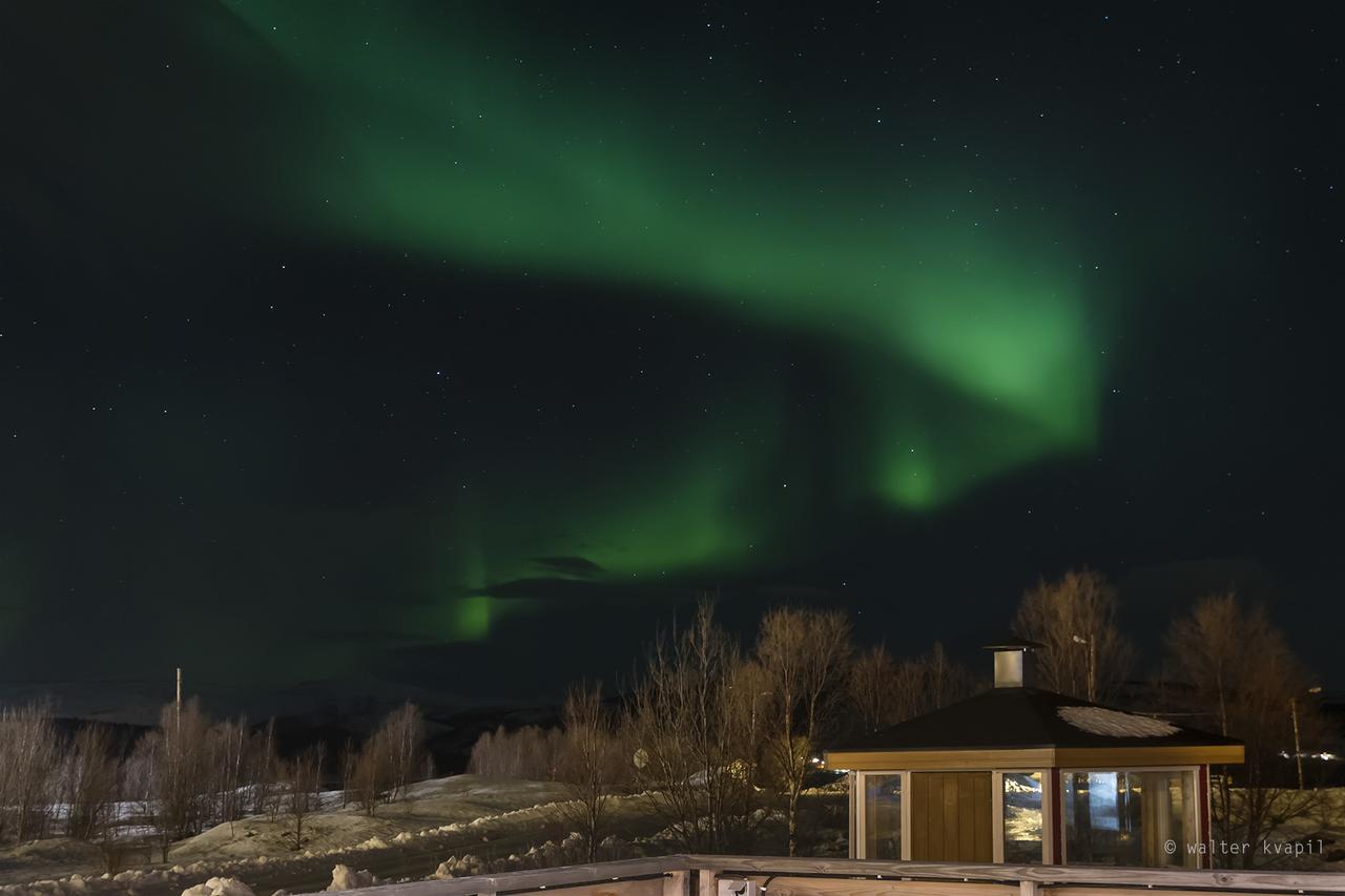 Vikran Vacation: Sea Fishing And Northern Lights Extérieur photo