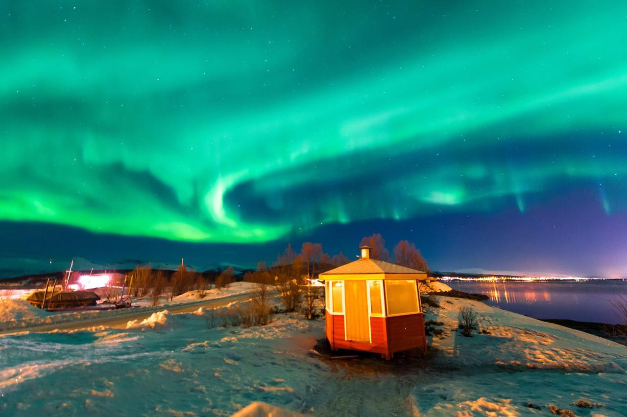 Vikran Vacation: Sea Fishing And Northern Lights Extérieur photo